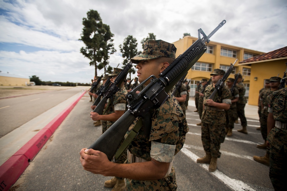 Delta Company Drill
