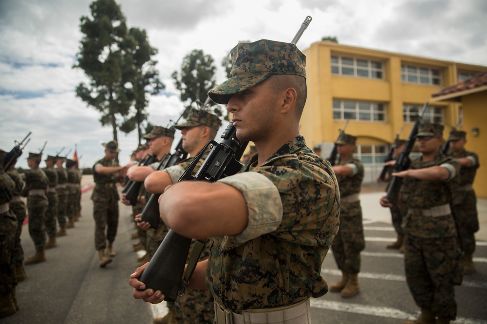 Delta Company Drill