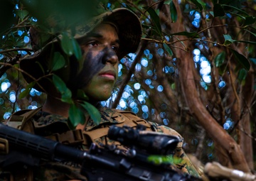 2/3 Completes Bougainville I