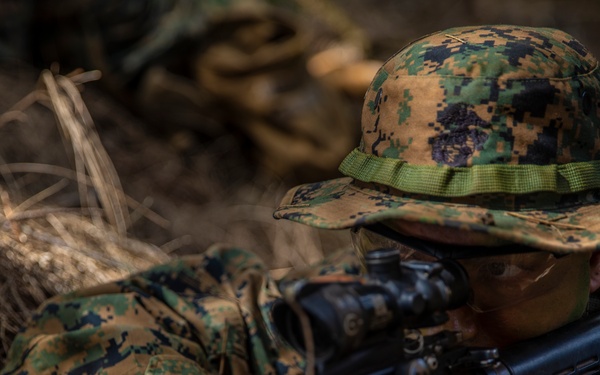 Echo Company Takes On KTA