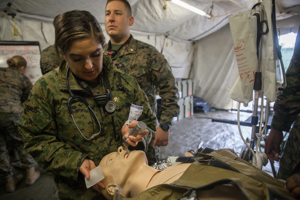 DVIDS - Images - 2nd Med. Bn. Trains In Emergency And Enroute Medical ...