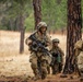 Screaming Eagles conduct Brigade Live Fire at JRTC