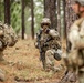 Screaming Eagles conduct Brigade Live Fire at JRTC