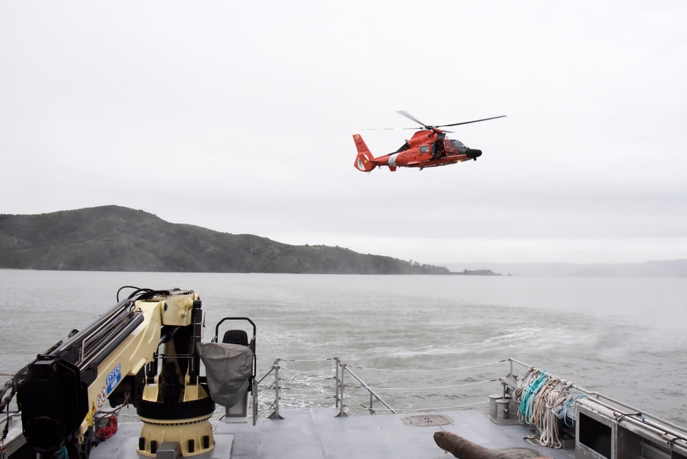 Canine Hoist In San Francisco Bay