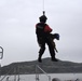 Canine Hoist In San Francisco Bay