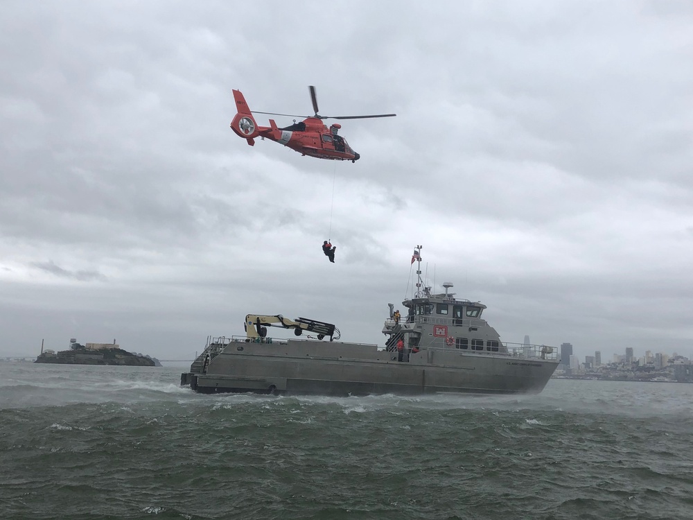 Canine Hoist In San Francisco Bay