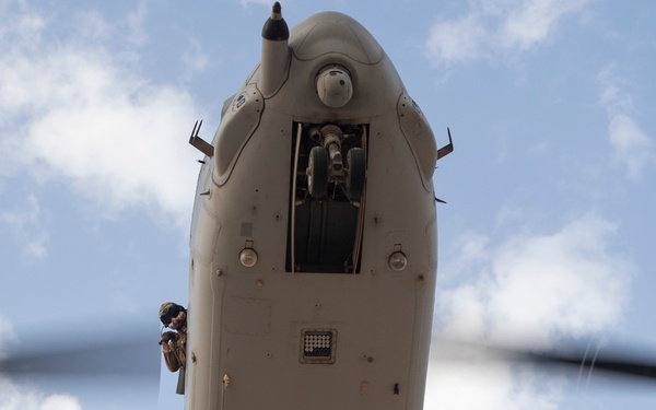 Lift Me Up: External Lift Exercise with CLD-34