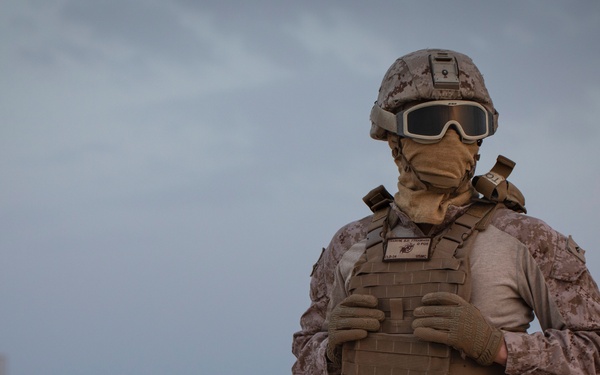 Lift Me Up: External Lift Exercise with CLD-34