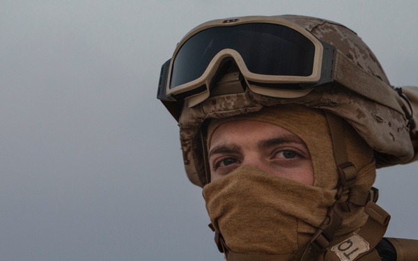 Lift Me Up: External Lift Exercise with CLD-34