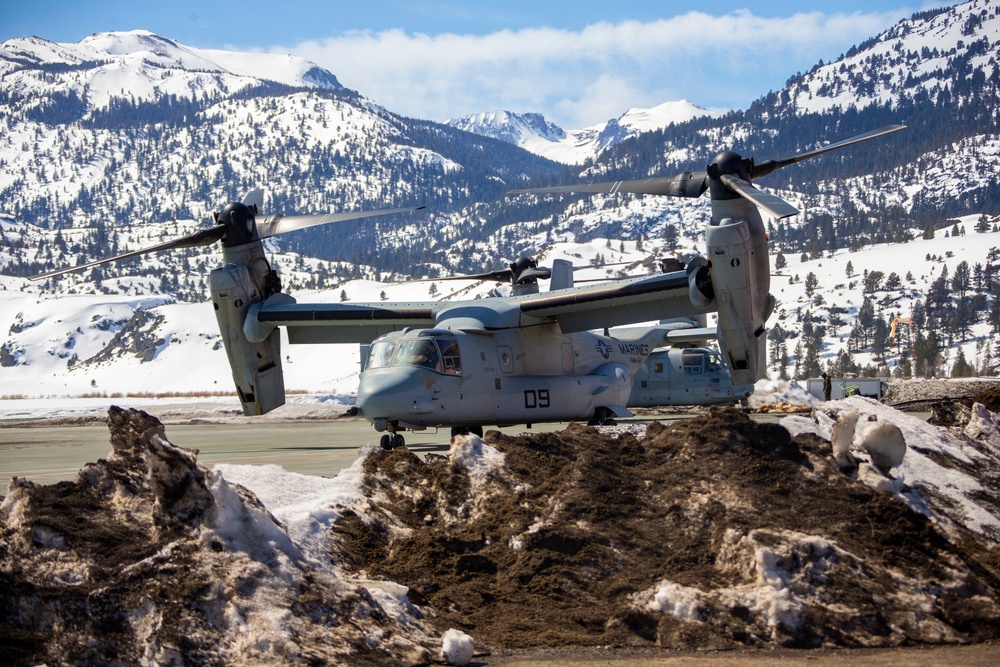 3rd Marine Regiment flies with VMM-164 in Bridgeport