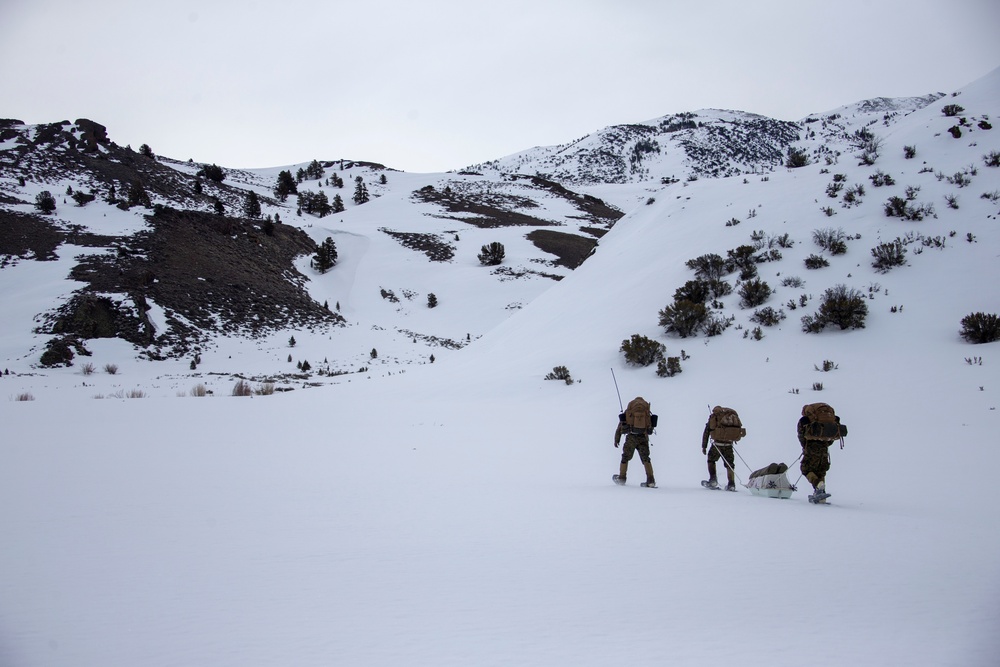 3rd Marine Regiment in route to set up VHF communication in Bridgeport