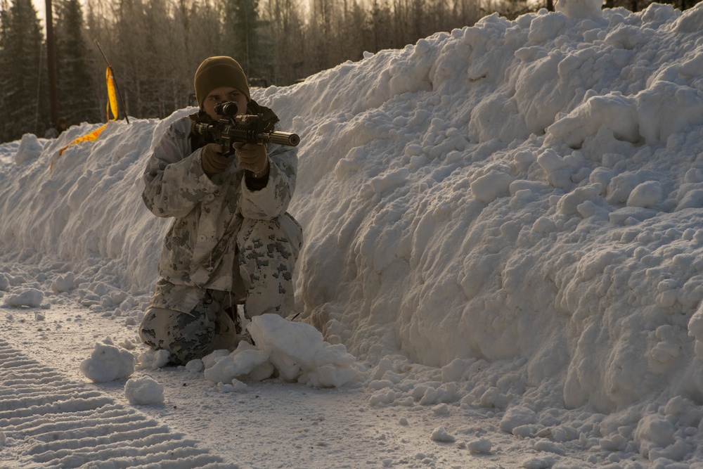 U.S. Marines during Exercise Northern Wind 19
