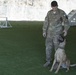 Dogs with jobs