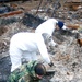 Corps employees help find cremains among Camp Fire debris