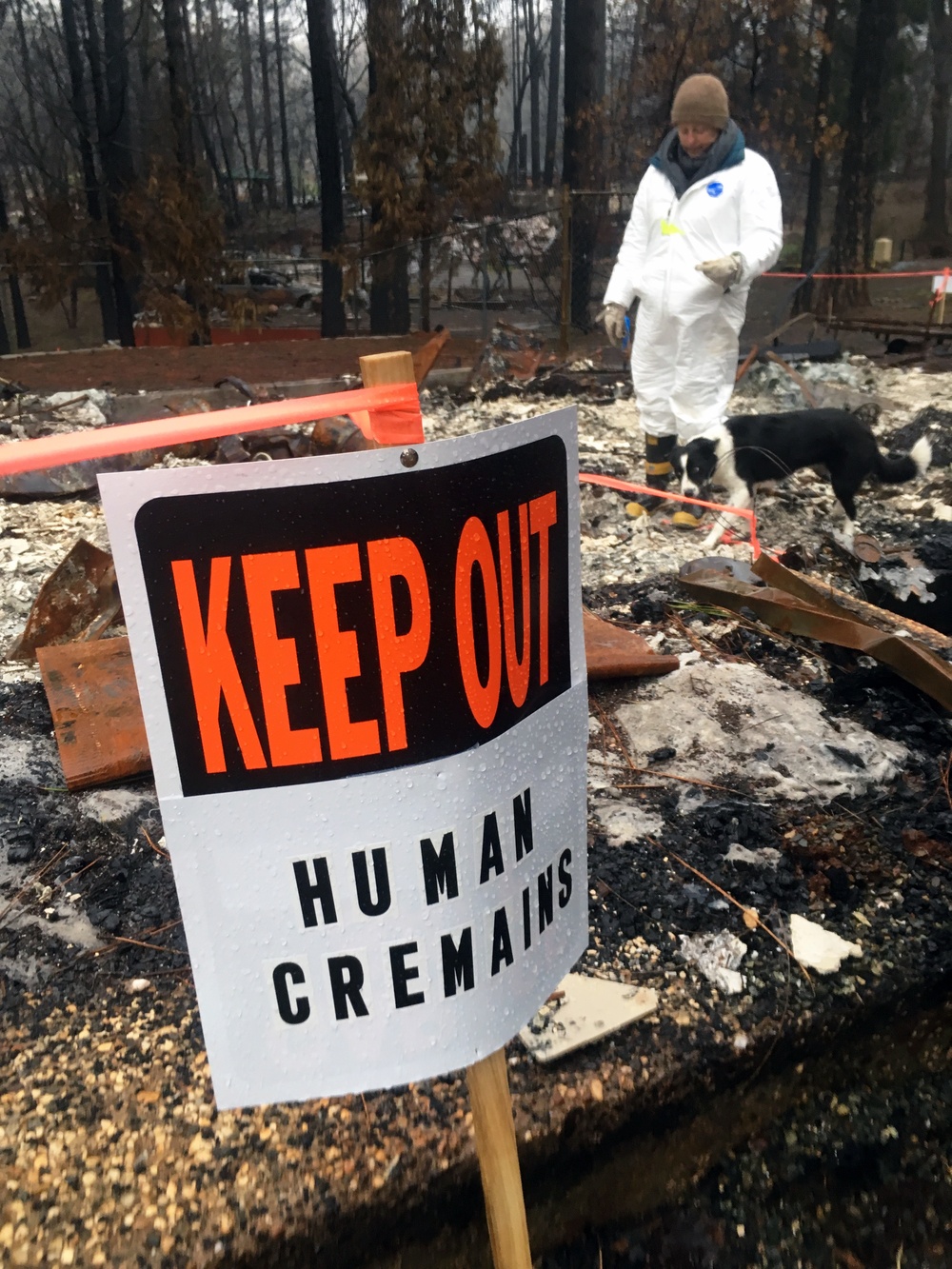 Corps employees help find cremains among Camp Fire debris