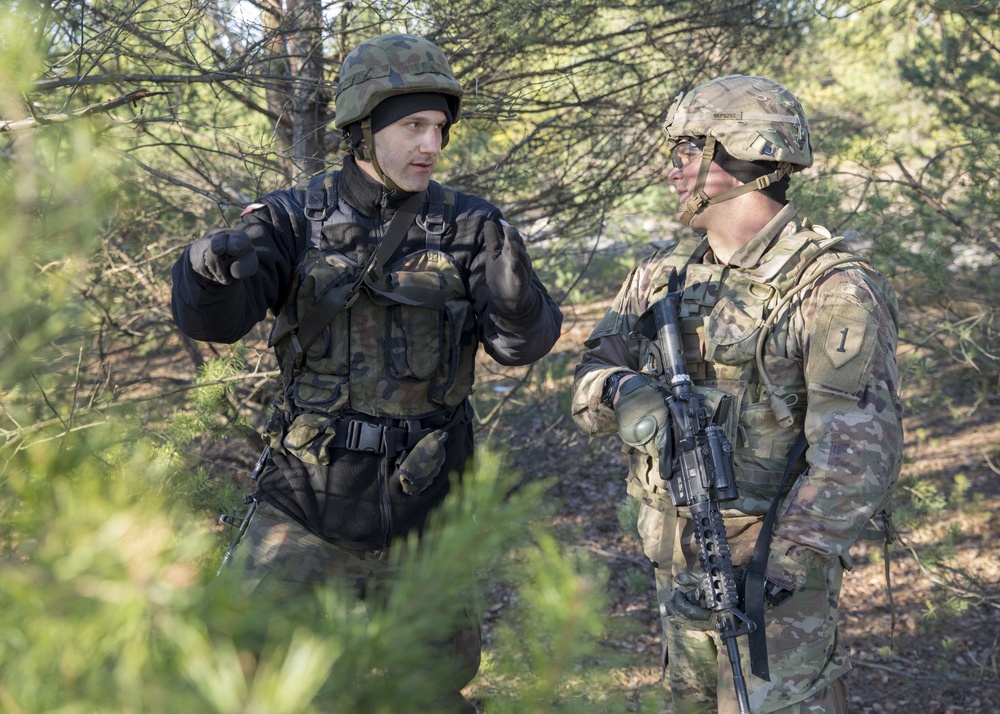 Diehard Engineers train with their Polish allies