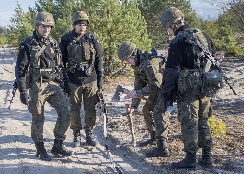 Diehard Engineers train with their Polish allies