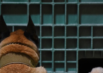 FBI brings explosive training to JBLE