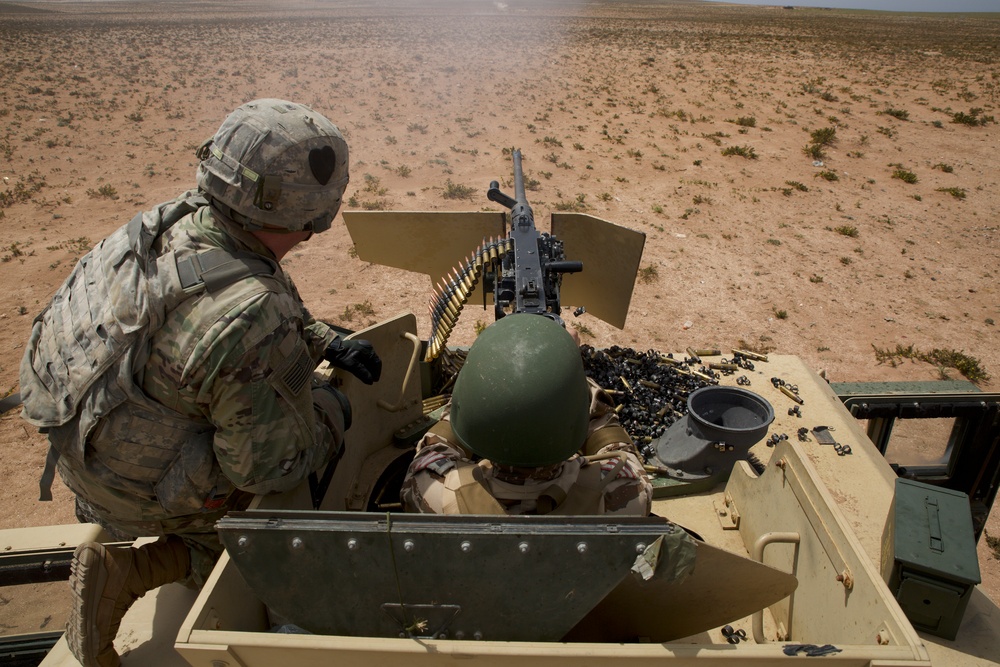 African Lion 2019 FTX