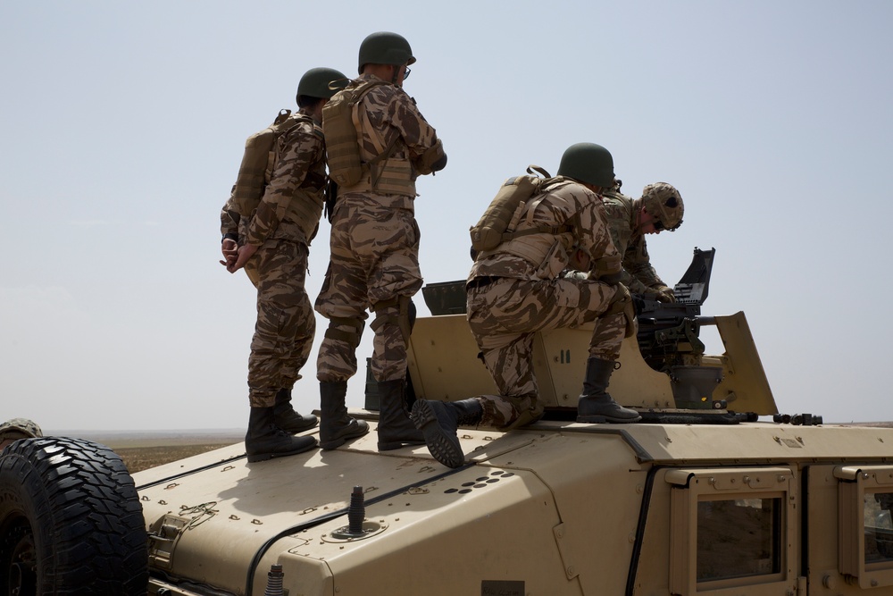 African Lion FTX