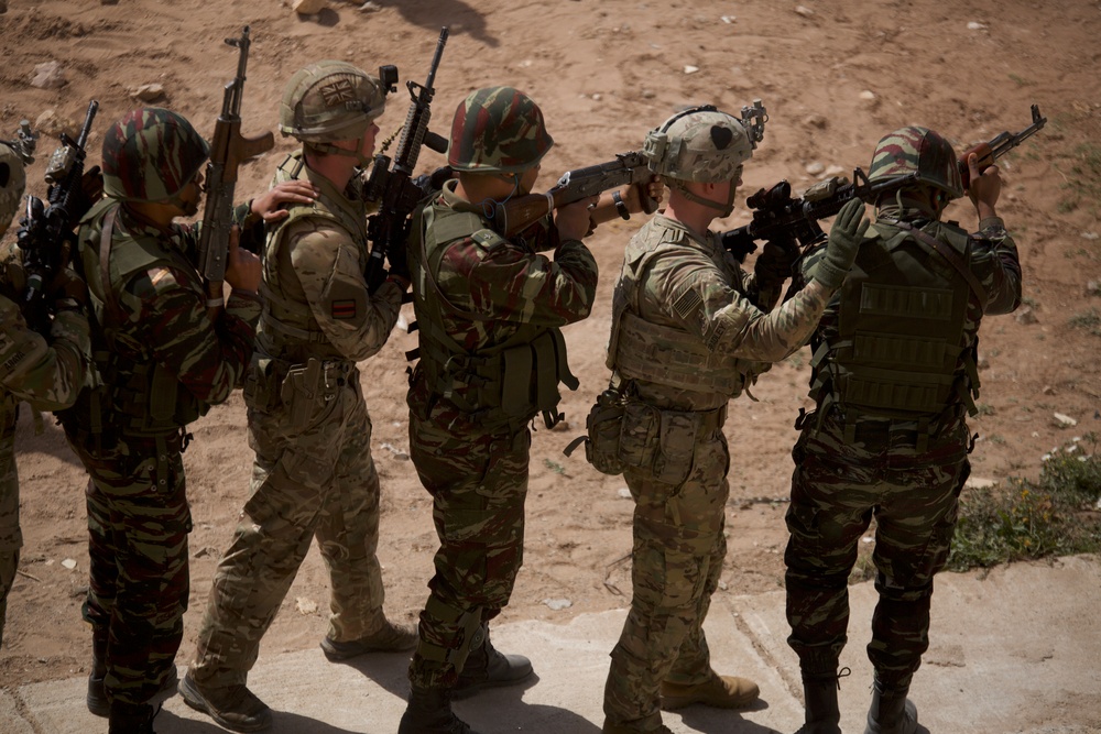African Lion FTX