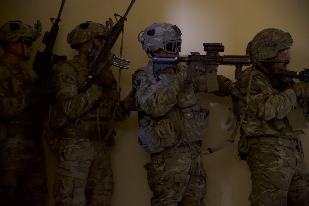 African Lion FTX