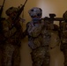 African Lion FTX