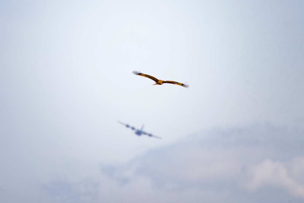 Yokota C-130J Rodeo