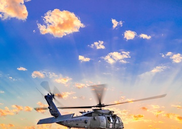 Sun Sets as the Bird Rises