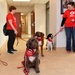 Red Cross pet therapy mends ruff times