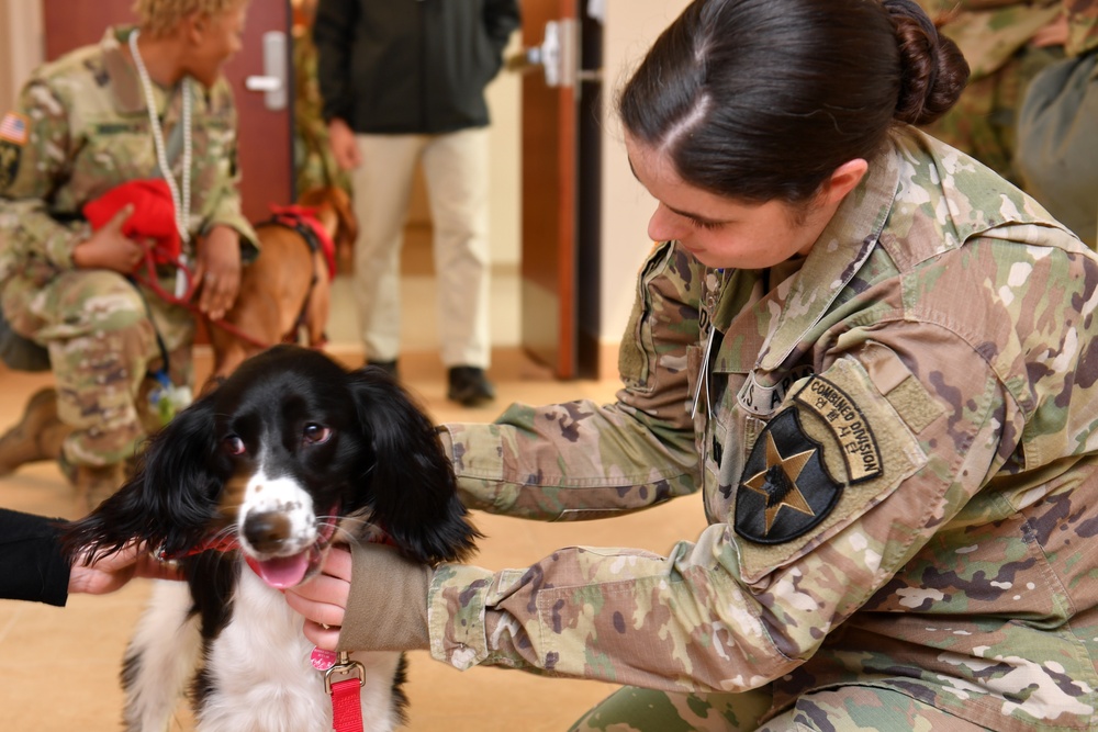 Red Cross pet therapy mends ruff times