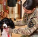 Red Cross pet therapy mends ruff times