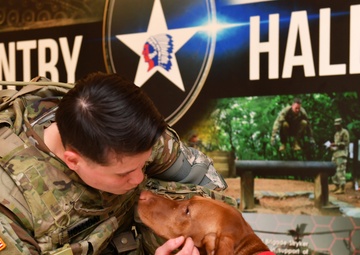 Red Cross pet therapy mends ruff times