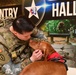Red Cross pet therapy mends ruff times