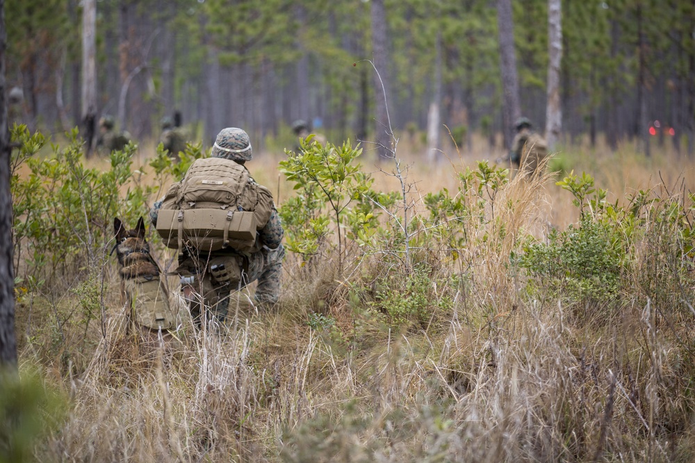 32nd Raiding Squadron and 2nd LE BN Conduct Dutch Bilateral Training