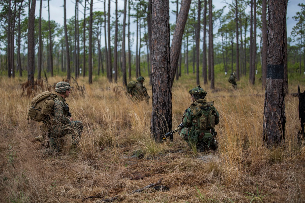 32nd Raiding Squadron and 2nd LE BN Conduct Dutch Bilateral Training