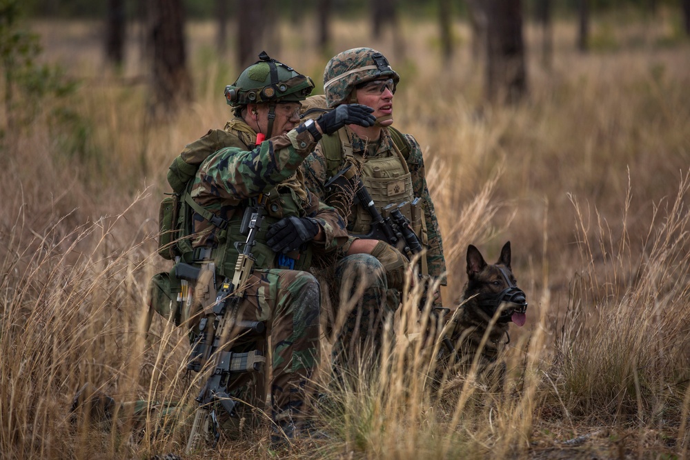 32nd Raiding Squadron and 2nd LE BN Conduct Dutch Bilateral Training