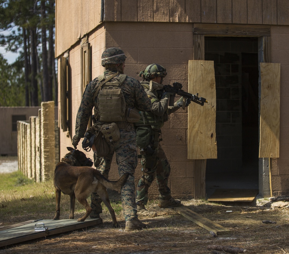 32nd Raiding Squadron and 2nd LE BN Conduct Dutch Bilateral Training