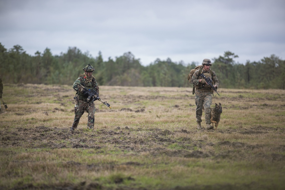 32nd Raiding Squadron and 2nd LE BN Conduct Dutch Bilateral Training