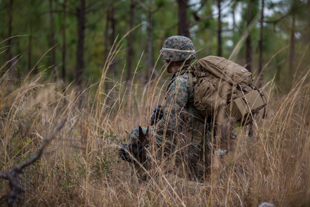 DVIDS - Images - 32nd Raiding Squadron and 2nd LE BN Conduct Dutch ...