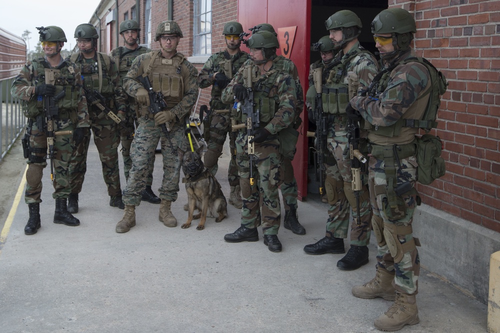 32nd Raiding Squadron and 2nd LE BN Conduct Dutch Bilateral Training