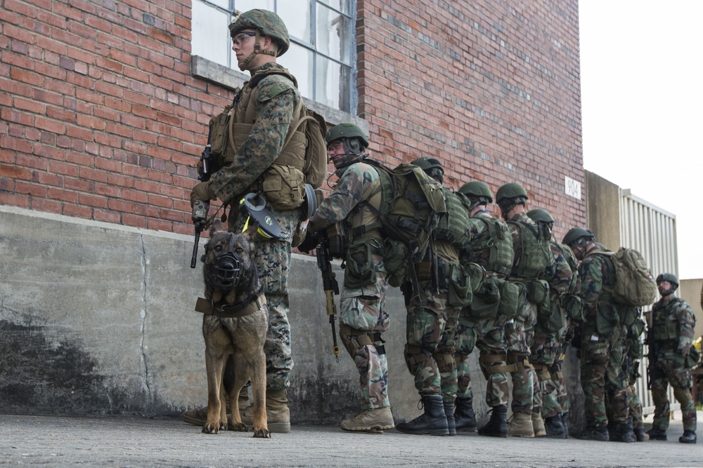 32nd Raiding Squadron and 2nd LE BN Conduct Dutch Bilateral Training