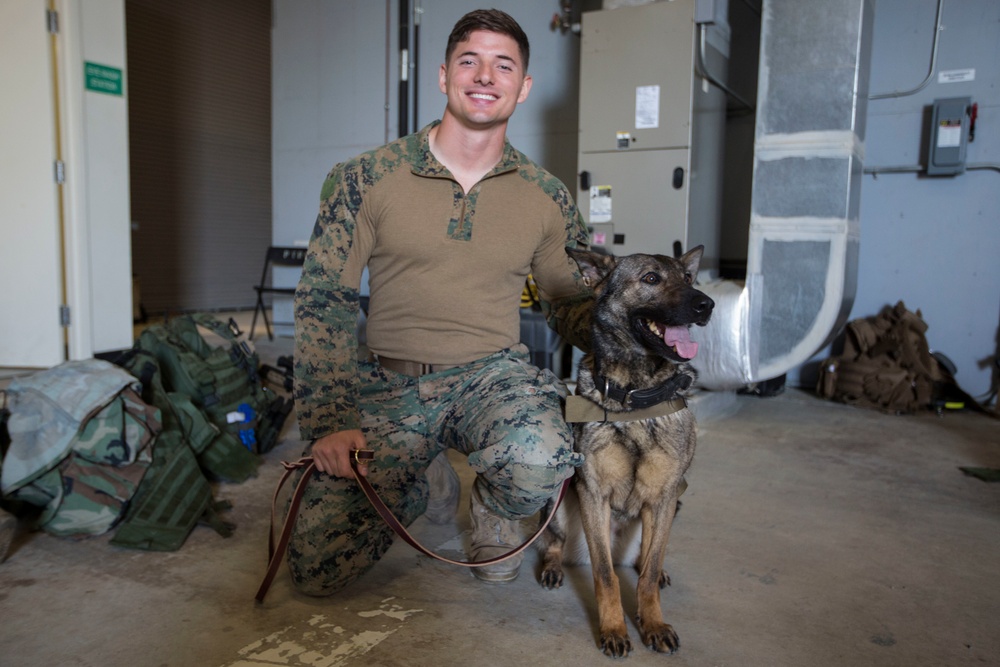 32nd Raiding Squadron and 2nd LE BN Conduct Dutch Bilateral Training