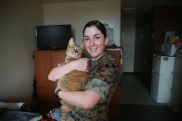 III MEF Authorizes Pets in Barracks