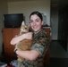 III MEF Authorizes Pets in Barracks
