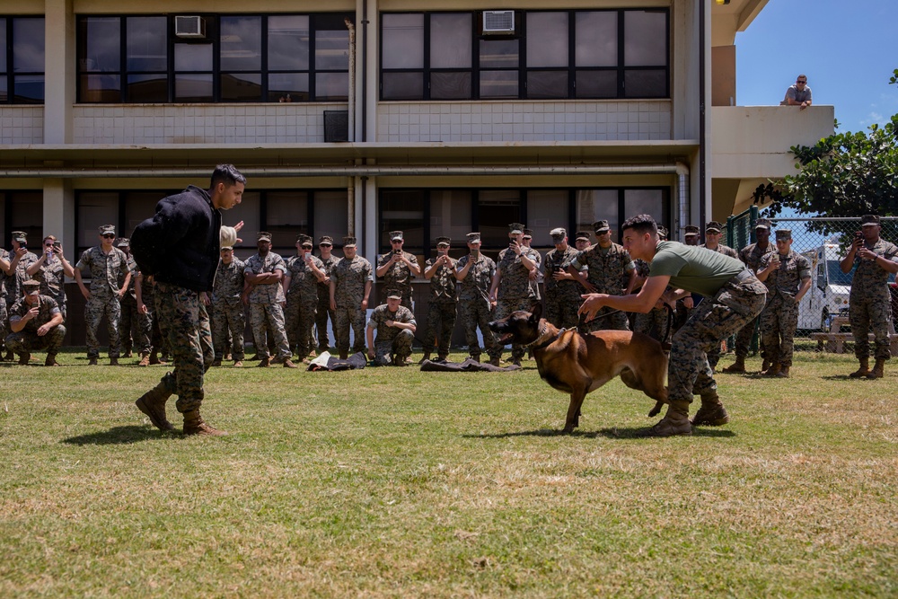 Hawaii Marines learn about K9 capabilities