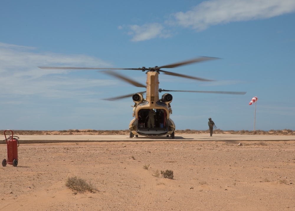 U.S. Armed forces in full swing at African Lion 2019