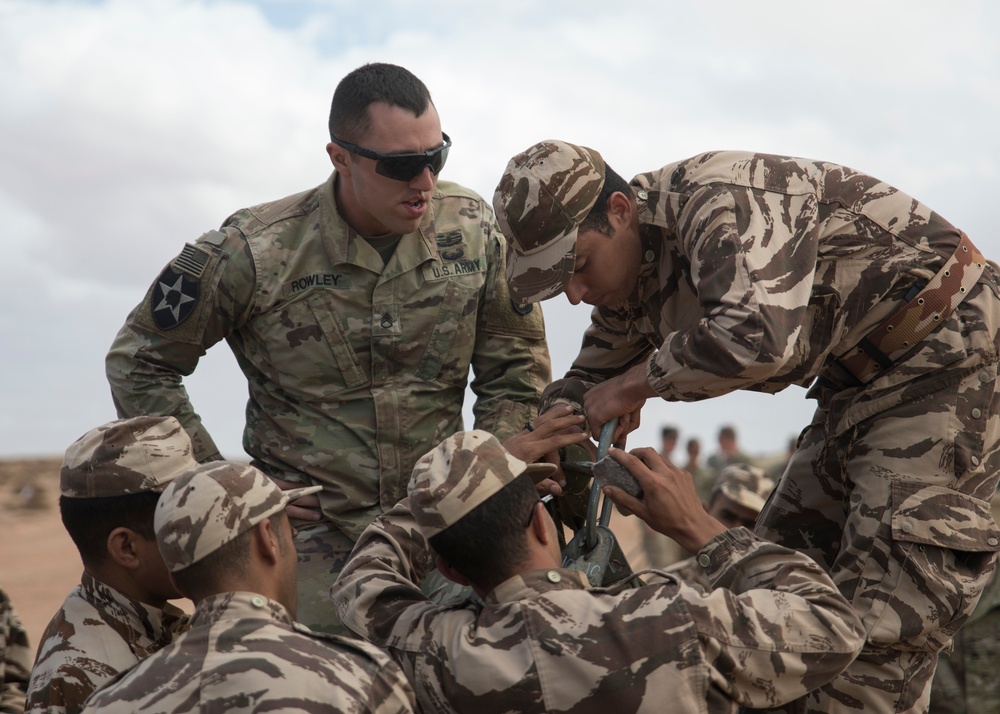 U.S. Armed forces in full swing at African Lion 2019