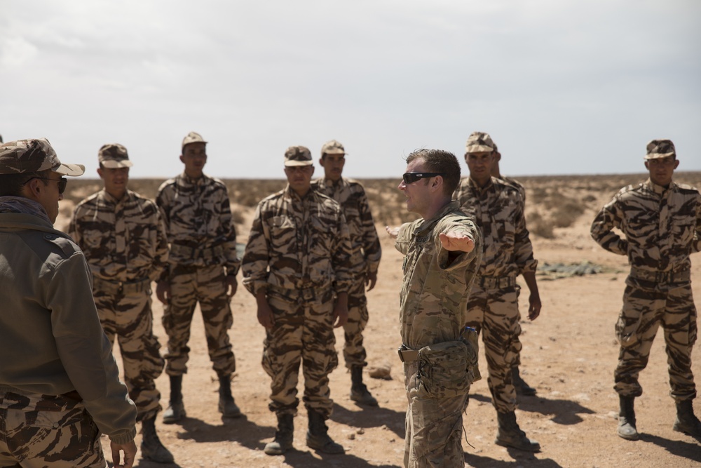 U.S. Armed forces in full swing at African Lion 2019