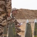 U.S. Armed forces in full swing at African Lion 2019